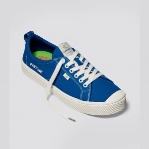 Cariuma Low Top Canvas OCA LOW Dam Blå | 403715-JMZ