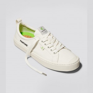 Cariuma Low Top Canvas OCA LOW Dam Vita | 954183-ESL