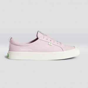 Cariuma Low Top Canvas OCA LOW Herr Pale Lilac | 819437-CUO