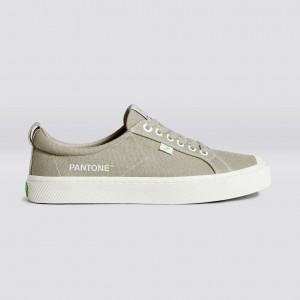 Cariuma Low Top Canvas OCA LOW Herr Plaza Taupe | 279130-RDZ