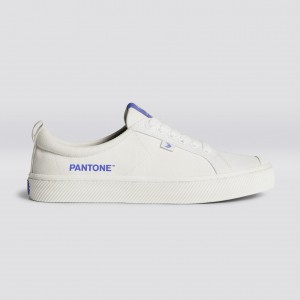 Cariuma Low Top Canvas Veganska OCA LOW Dam Off-White / Very Peri Canvas | 489732-VLD