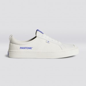 Cariuma Low Top Canvas Veganska OCA LOW Herr Off-White / Very Peri Canvas | 698170-QNM