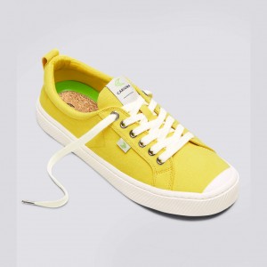 Cariuma Low Top Canvas Veganska OCA LOW Herr Gula | 214037-QIG