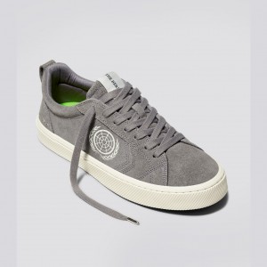 Cariuma Low Top Suede CATIBA PRO Dam Grå | 581062-AQI