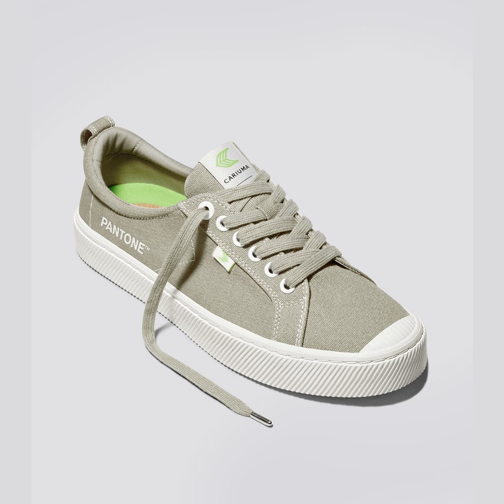 Cariuma Low Top Canvas OCA LOW Dam Plaza Taupe | 504719-TVM