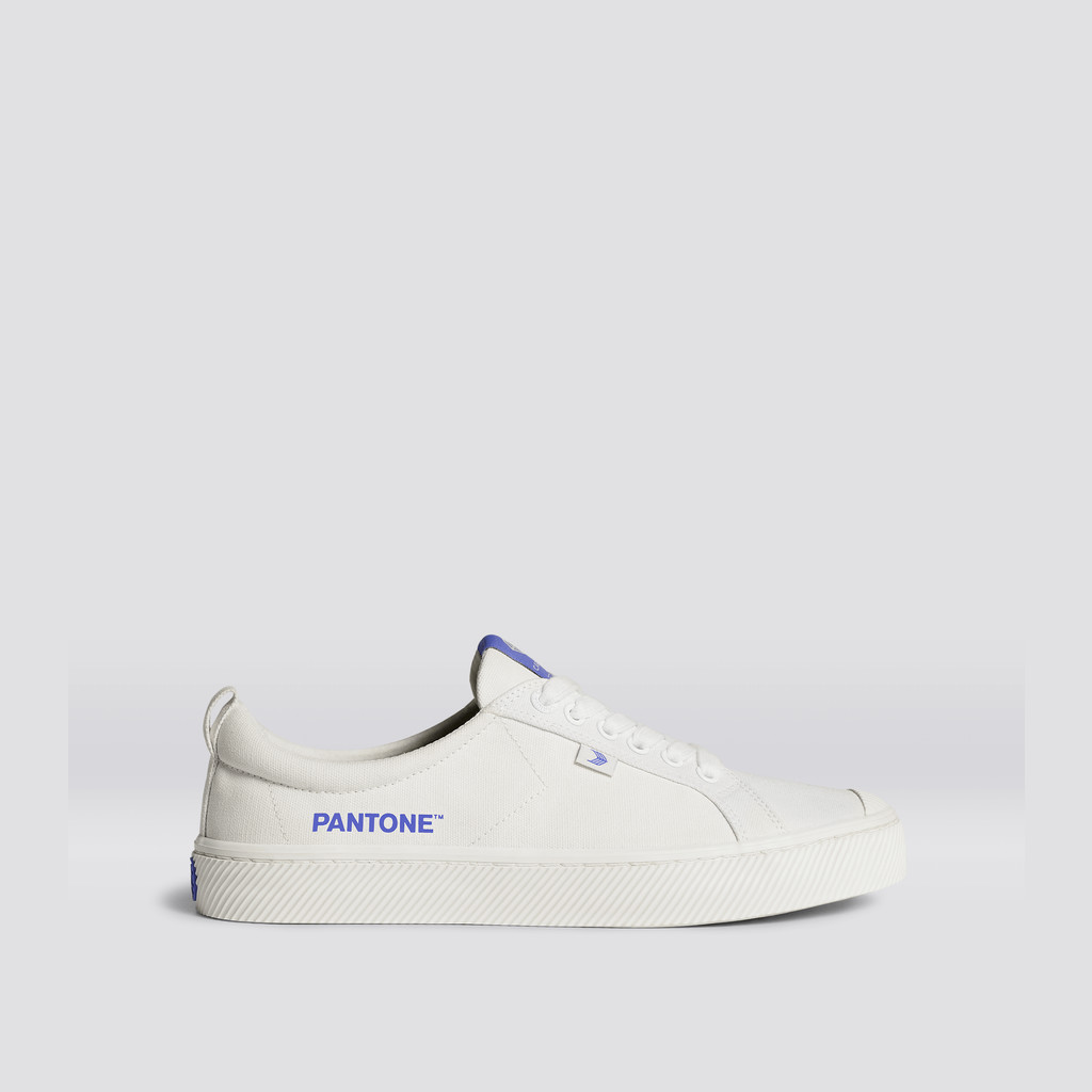 Cariuma Low Top Canvas Veganska OCA LOW Dam Off-White / Very Peri Canvas | 489732-VLD