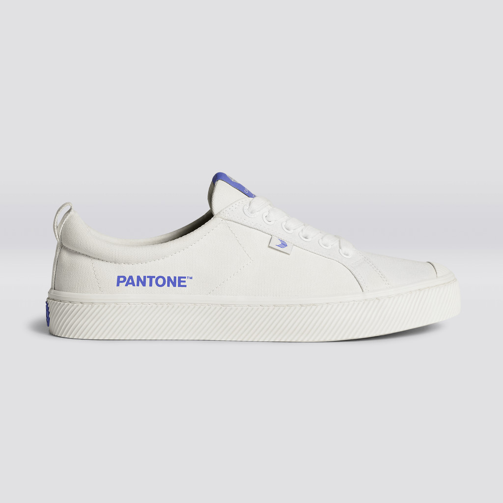 Cariuma Low Top Canvas Veganska OCA LOW Dam Off-White / Very Peri Canvas | 489732-VLD